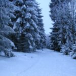 File:Falk Oberdorf Wiehengebirge Winter Heidbrink.JPG - Wikimedia Commons