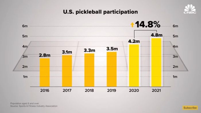 New Study Reveals 36.5 Million People Played Pickleball Last Year