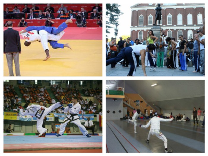 Traditional Martial Arts Versus Mixed Martial Arts - HubPages