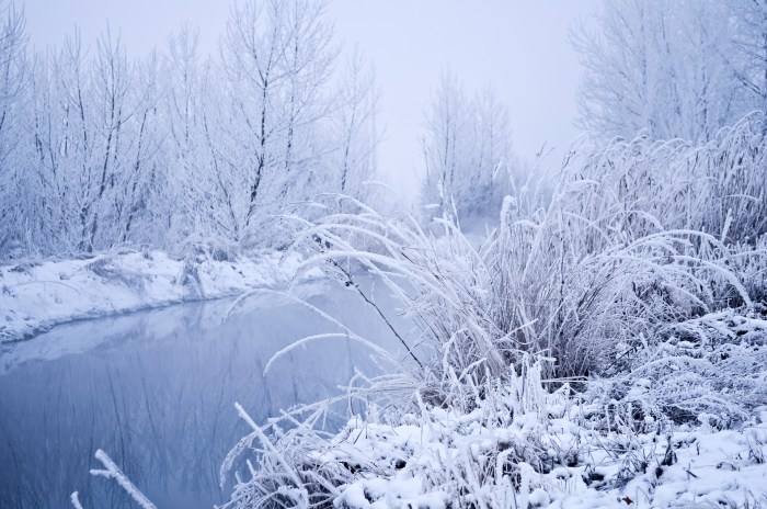 Winter Is A Great Free Stock Photo - Public Domain Pictures Winter Is A Great Free Stock Photo - Public Domain Pictures