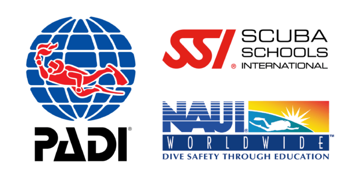 Dive Deeper - Your Path to Scuba Diving Certification by Dive Centre ...