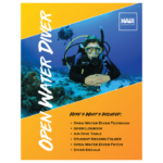 Top 7 diving organizations and certification programs